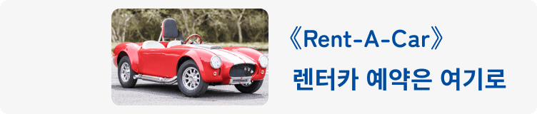 car-link1-korean